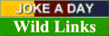 Joke A Day Wild Links
